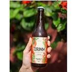 Kombuchá de Frutas Vermelhas com Hibisco